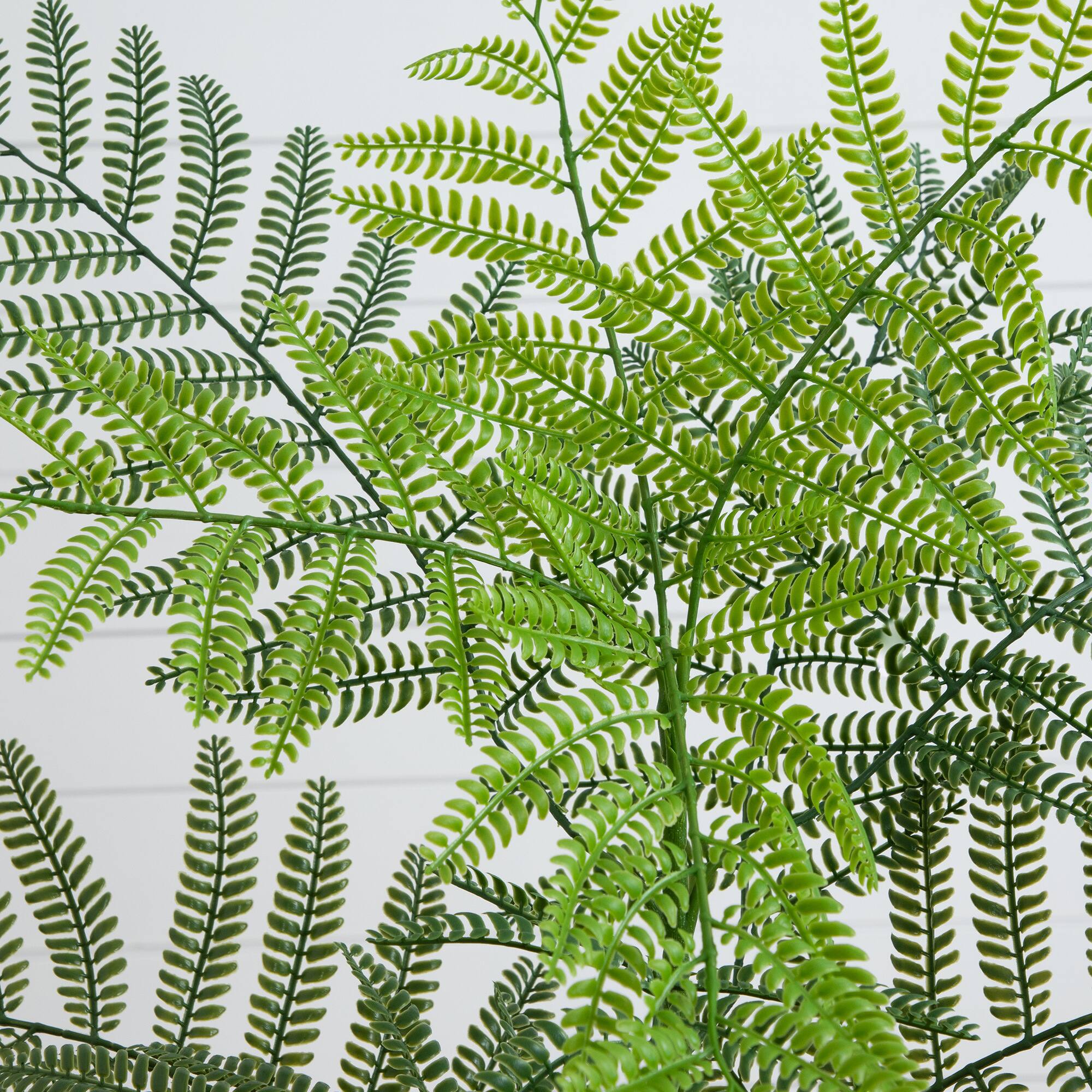 3.5ft. Artificial Minimalist Jacaranda Tree